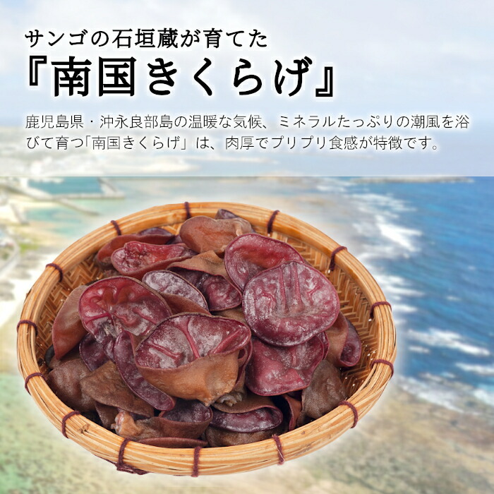 沖永良部産 南国きくらげ 食物繊維 キクラゲ 国産 90g 干しきくらげ 乾燥 スライス 木耳 鹿児島県産 干し木耳 健康