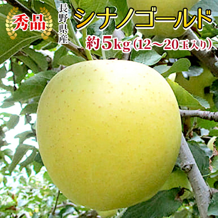 楽天市場】秀品 ぐんま名月 約3kg 6〜10玉入り 長野県産 りんご アップル 林檎 希少品種 産地直送 フルーツ 旬の果物 くだもの  大容量：c33 : 四季彩マルシェ 山村ファーム