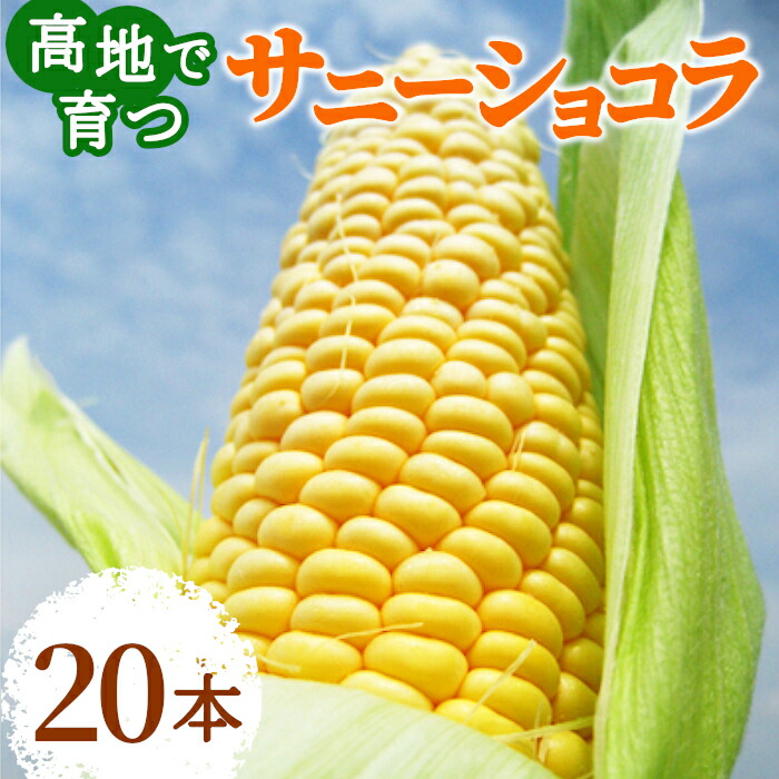 【2025年先行受付】 高評価★5.00！ 生で食べられる 高原とうもろこし サニーショコラ 20本(10本×2箱) 約7kg 朝採 産地直送 産直 新鮮 野菜 とうもろこし フルーツコーン スイートコーン 長野県産 お取り寄せ お買い物マラソン ：c154
