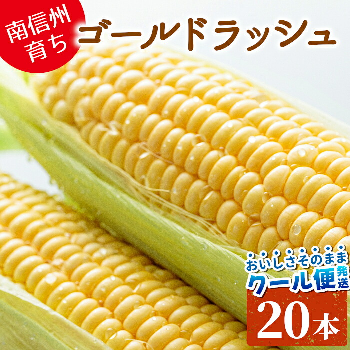 【予約商品】R8年産 とうもろこし ゴールドラッシュ 20本 10本×2箱 長野産 とうもろこし 新鮮 朝採 産直 甘い 美味しい 新鮮 野菜 トウモロコシ スイートコーン コーン 特産 残暑見舞い お取り寄せ お中元 敬老の日 朝採れ 産地直送 ：c155