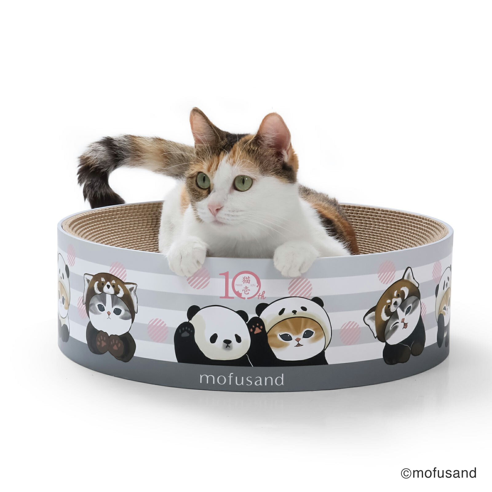 猫壱（necoichi） 猫のくら 私の隠れ家 猫用ベッド 楽天市場】猫壱公式限定 猫のくら 私の隠れ家 猫用ベッド つめ