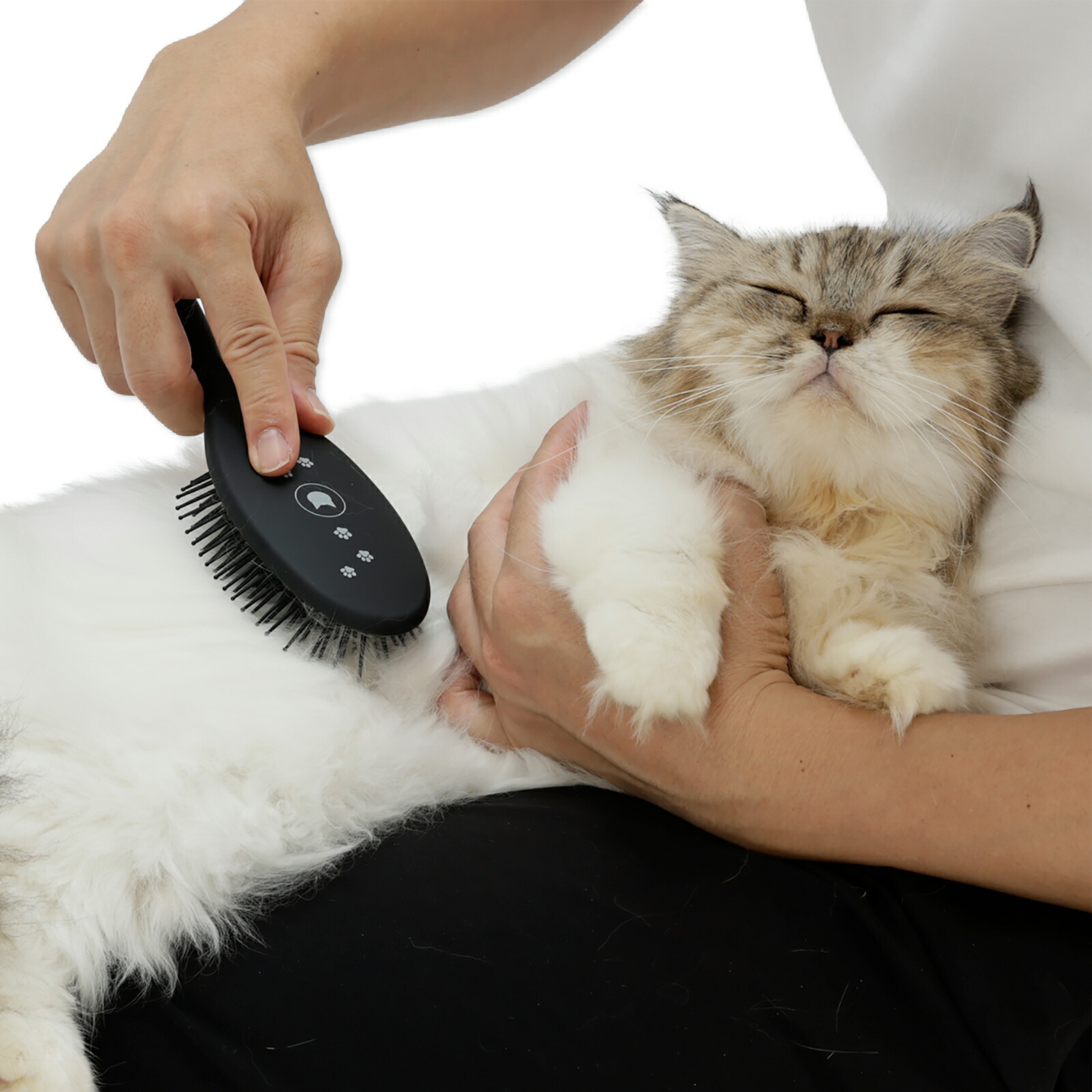 猫グッズのプレゼント人気おすすめ｜猫壱 ブラシを嫌がる猫もとろける魔法のブラシ