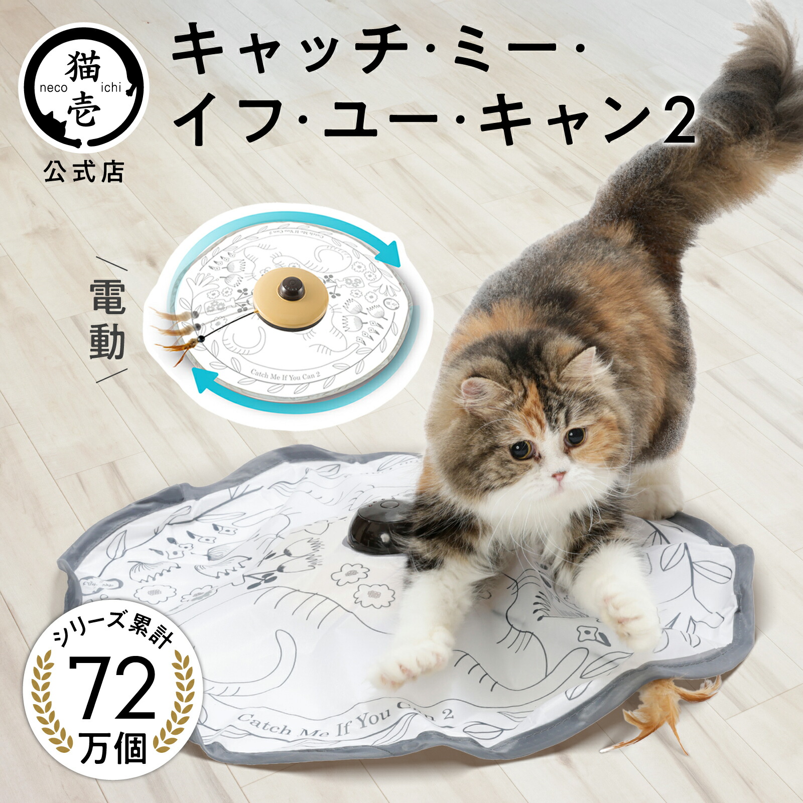 猫先輩二枚ブラックと白 hqdefault.jpg