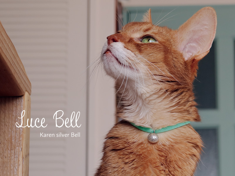 楽天市場 メール便送料無料 Necono 猫 首輪 Luce Bell ルーチェ ベル ラタン ボール 子猫 おしゃれ 鈴 安全 10 30cm サイズ調整 軽量 銀 ピンク 全5色 日本製 猫用品 Necono