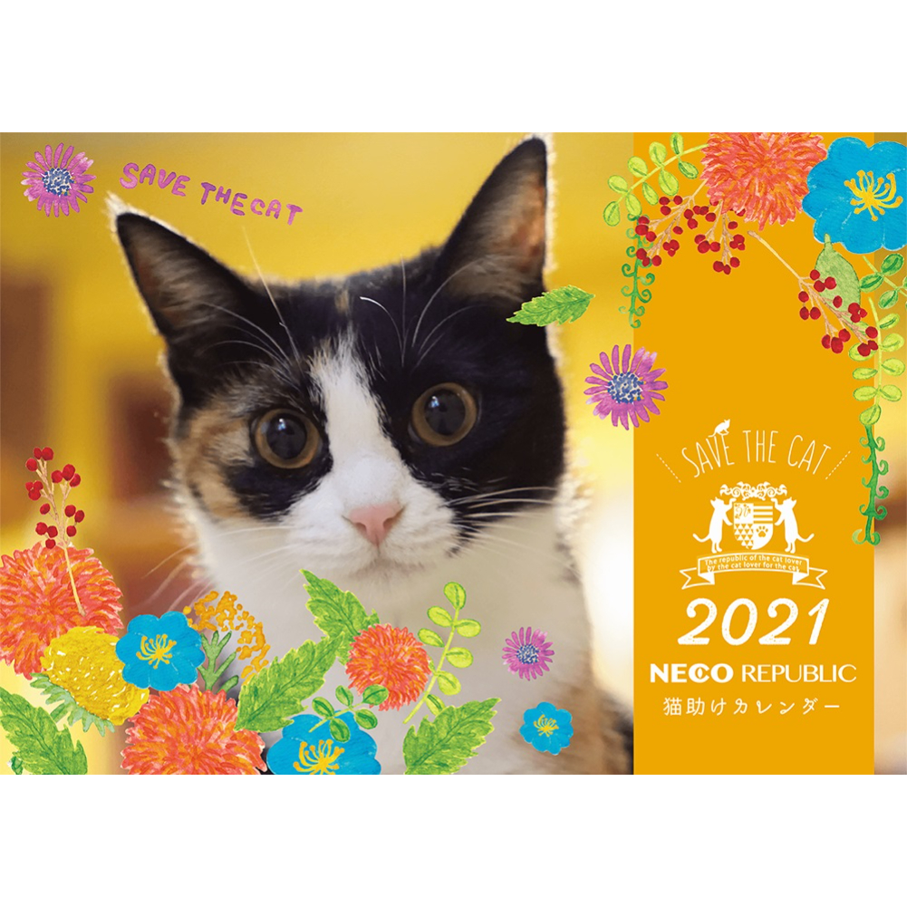 楽天市場 メール便対応 21年カレンダー ネコリパブリックオリジナル かわいい猫カレンダー 猫 壁かけ 保護猫活動 ねこ 寄付 スケジュール ａ４サイズ 見開きa3 保護猫カフェ ネコリパブリック