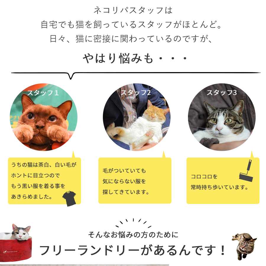 主張する 振り向く 勝利した 猫 毛 コロコロ Smerfspecialmarkets Com