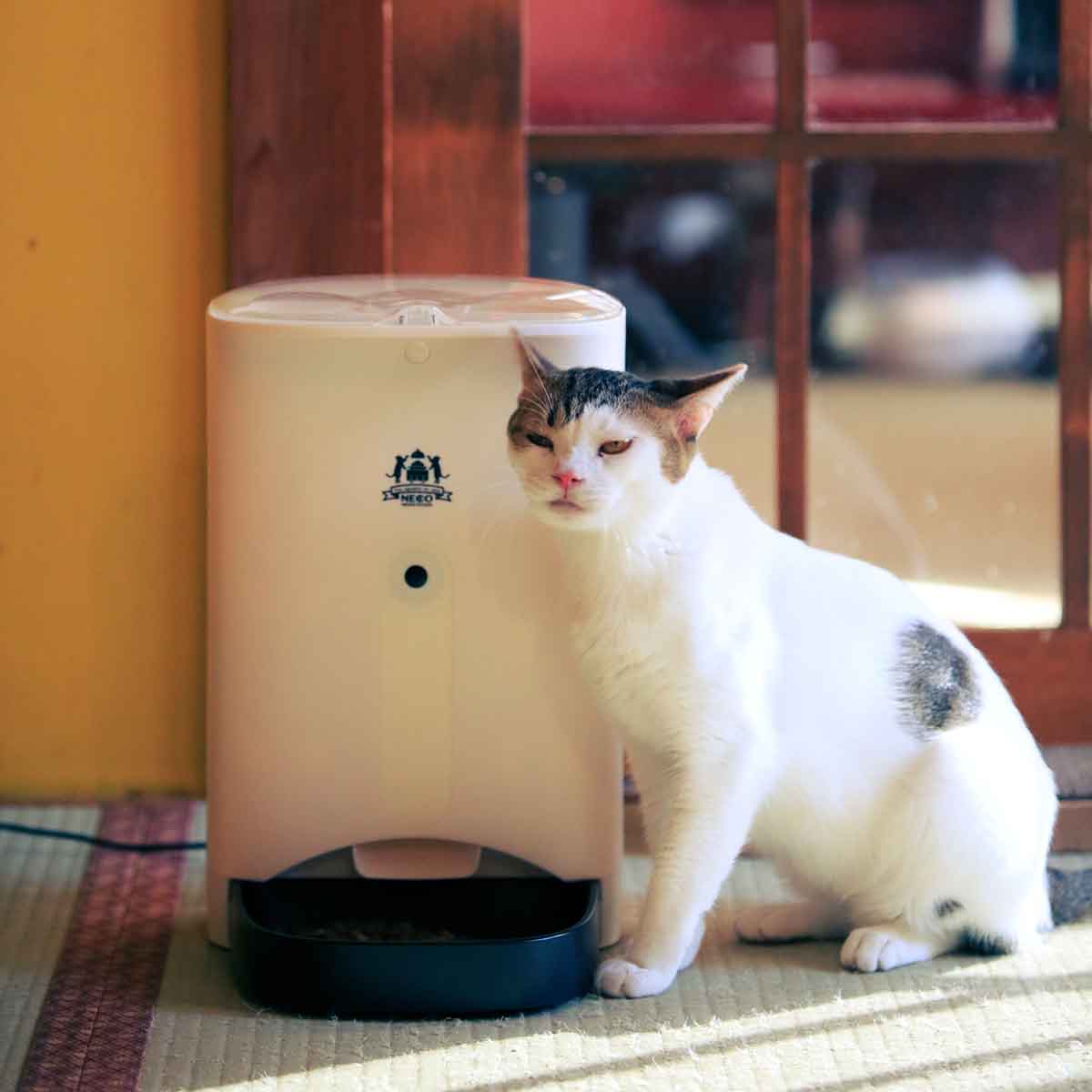Iphone Iosのみアプリ連動 Android対応不可 動物愛護 ネコメシフィーダー ペットフィーダー 4 3l 猫砂 ねこ砂 自動給餌器 ペットカメラ ペットフード 会話機能付 オートペットフィーダー 犬 猫 保護猫カフェ ネコリパブリックペットフィーダー 4 3l ペットカメラ オート