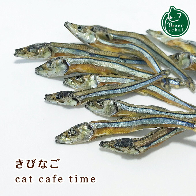 necosekai キャットカフェタイム 2021人気No.1の きびなご 猫用おやつ おやつ スナック トリーツ ジャーキー 煮干し 魚 無添加 マーケット ねこ 猫 フード ネコ