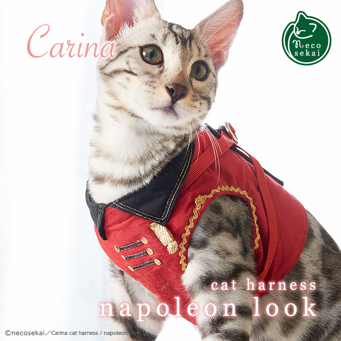 楽天市場 本州 四国 送料無料 猫用ハーネス Carina キャットハーネス Napoleon Look ナポレオンルック 猫 用品 オリジナルハーネス リード付 猫 ハーネス 猫ハーネス 猫ウエア キャットウエア ハンドメイド ベスト 可愛い 高級 ねこ ネコ Necosekai