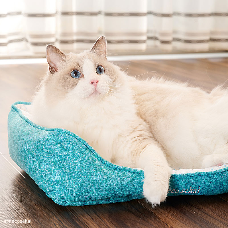 【2022夏用】necosekai/ネコセカイ接触冷感キャットスクエアベッドS【猫用品/オリジナルベッド】【猫ベッドキャットベッドペットベッドソファベットひんやり涼しい夏サマーベッドインテリアねこネコ】