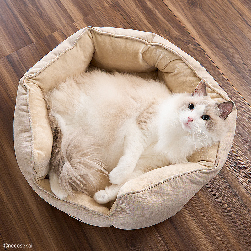 市場 necosekai Mサイズ キャットラウンドベッド 猫ベッド 猫用品 ネコセカイ オリジナルベッド