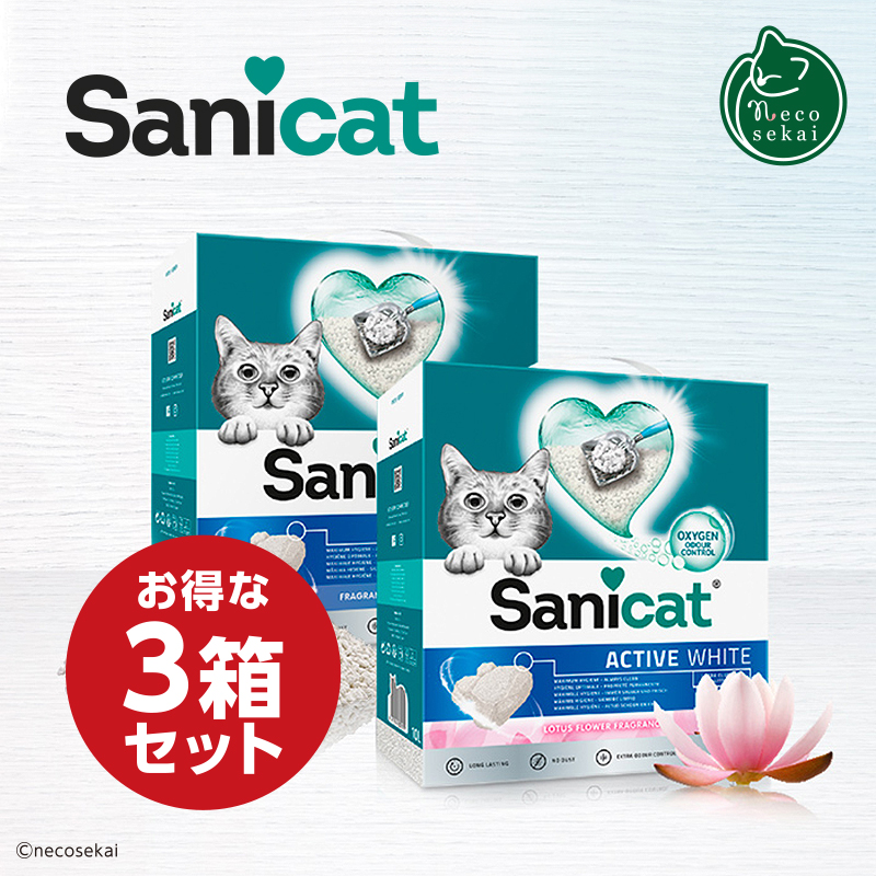 554c62c225e138cb816a5d697e62ea