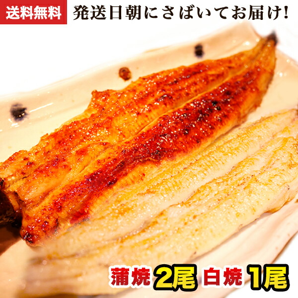 楽天市場 敬老の日 ギフト 朝じめ活うなぎ特大蒲焼き 5尾 約900 1kg 発送日に焼き上げ発送 5 6人前 鰻 プレゼント 食べ物 誕生日 お祝い 内祝い お返し 結婚内祝い 退職祝い 花以外 ウナギ 蒲焼 蒲焼き 国産 国内産 国産うなぎ グルメ 送料無料 お中元 御中元 食品