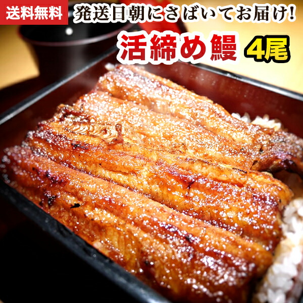 国産 うなぎ 蒲焼き 朝じめ活うなぎ 蒲焼き 4尾 約560～600g 発送日に焼き上げ発送 ［4人前］ 食べ物 誕生日 お祝い 内祝い お返し 結婚内祝い 蒲焼 蒲焼き 国内産 食品 土用丑 うなぎ 国産 ウナギ 鰻 お中元 プレゼント 送料無料 グルメ 冷蔵 うなぎ蒲焼 父の日 ギフト｜炭火焼うなぎの寝床