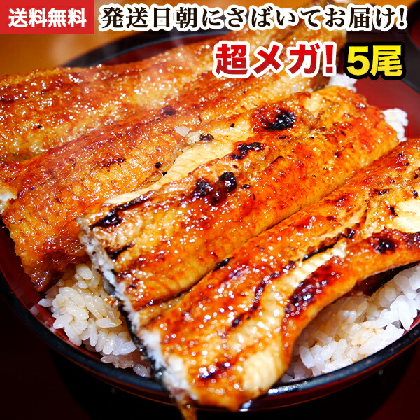 楽天市場 敬老の日 ギフト 朝じめ活うなぎ特大蒲焼き 3尾 約540 600g 発送日に焼き上げ発送 3 4人前 鰻 プレゼント 食べ物 誕生日 お祝い 内祝い お返し 結婚内祝い 退職祝い 花以外 ウナギ 蒲焼 蒲焼き 国産 国内産 国産うなぎ グルメ 送料無料 お中元 御中元 食品
