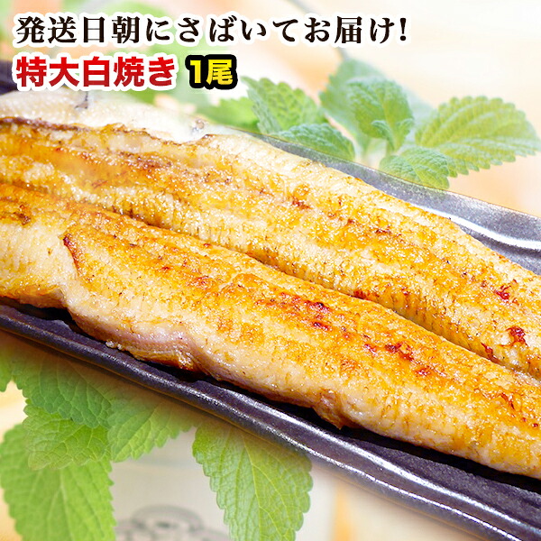 楽天市場 父の日ギフト 朝じめ活うなぎ特大白焼き 4尾 約7 800g 発送日に焼き上げ発送 国産 うなぎ ウナギ 鰻 国内産 グルメ 食べ物 誕生日 お祝い お礼 お返し 父の日 内祝い 退職祝い 花以外 父の日 プレゼント ギフト 食べ物 食品 お中元 御中元 炭火焼き 炭火焼