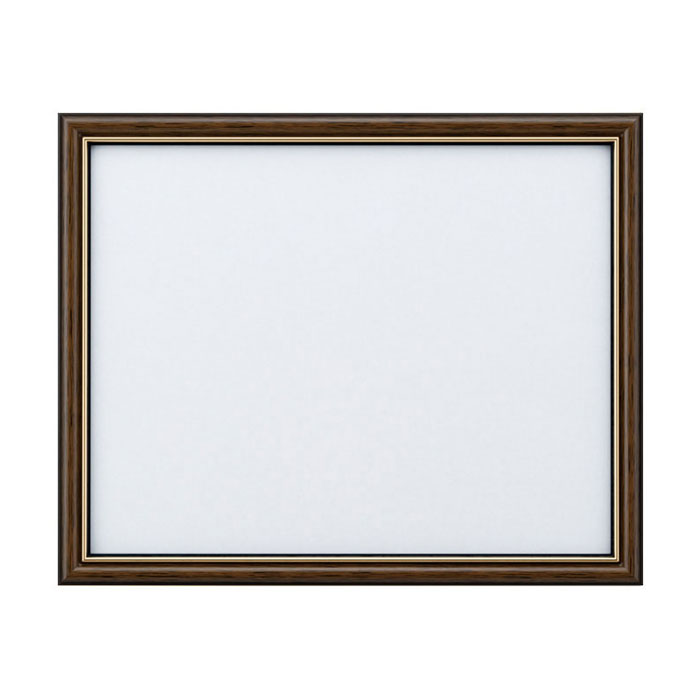 【送料無料】　専用フレーム(額)　NO_582930　(取り寄せ品)　(メール便不可)