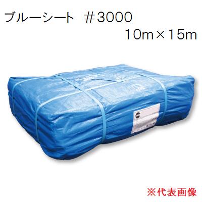 青碧居敷き １０ｍ×１５ｍ＃３０００ 朦朦たる 【 束 ／ １枚入り口・入口 】