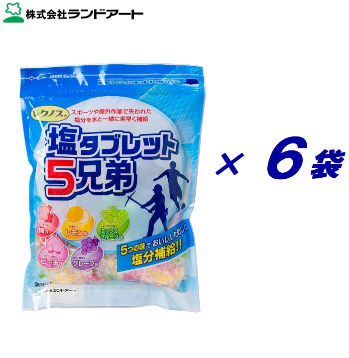 【６袋】塩タブレット ５兄弟　塩タブ １袋／５００ｇ（ 個 装 ）×６袋 ５種類の味！ ・ウメ ・レモン ・ミックスフルーツ ・ピーチ ・グレープ レクノス　ランドアート【 熱中症予防 】
