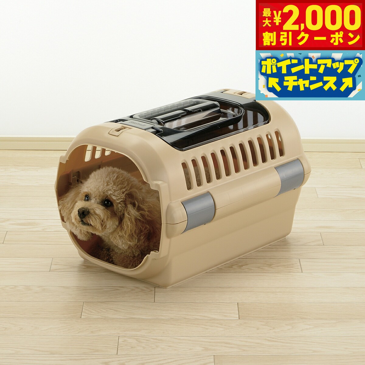 楽天市場】【最大2000円OFFクーポン！＆店内ポイント最大56倍！本日