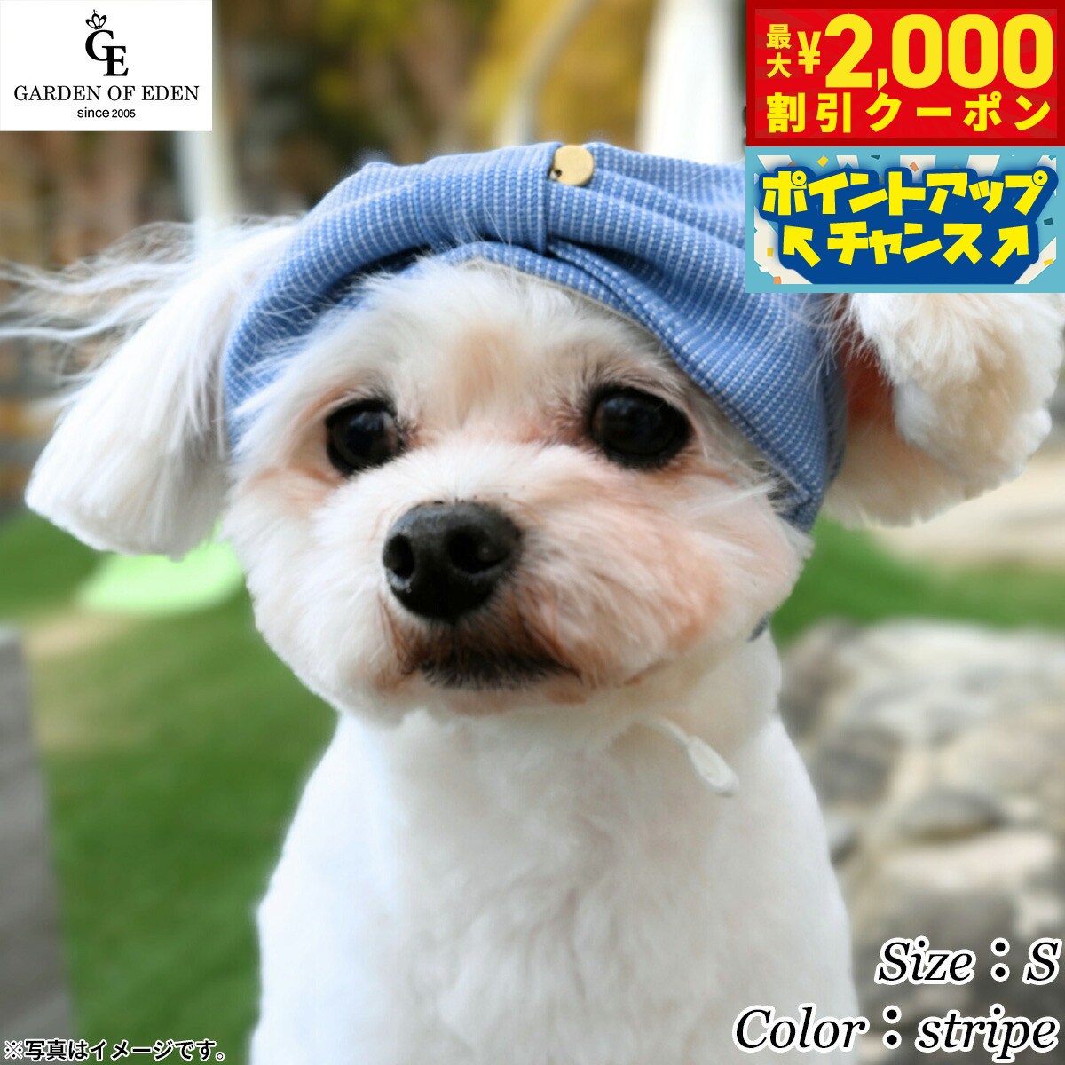 楽天市場】as know as ファーファーバラクラバ 犬 ヘアピン デワン