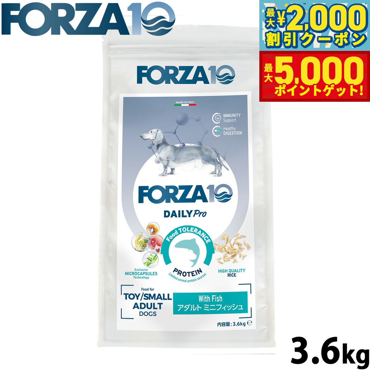 楽天市場】FORZA10 フォルツァディエチ Daily Pro アダルトミディアム