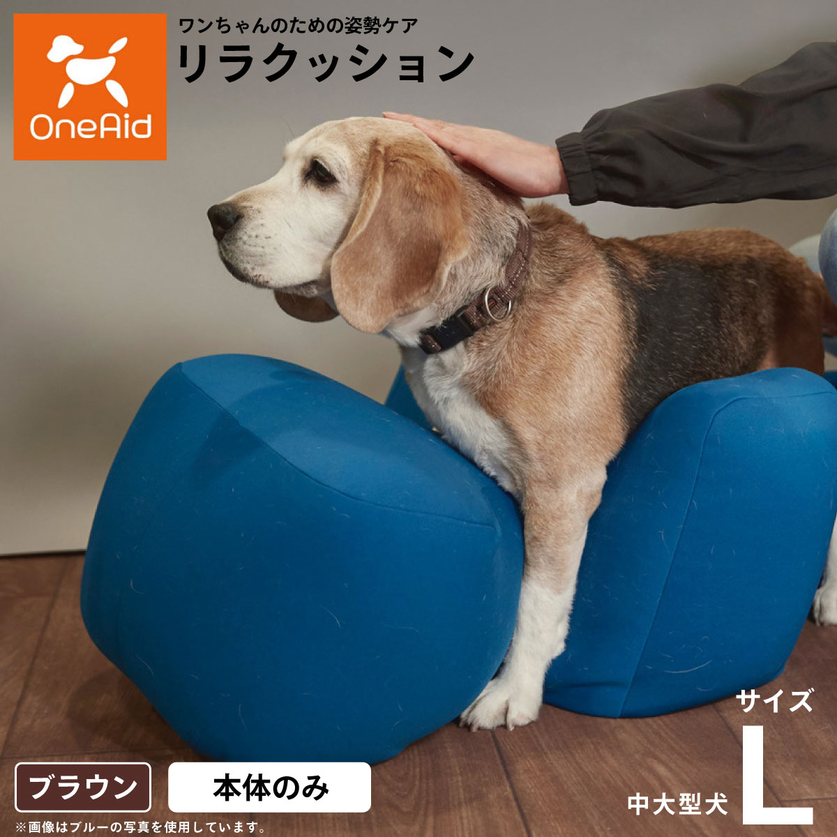CANINE REHABILITATION 犬のリハビリテーション Canine Rehabilitation and Physical Therapy: 9781437703092