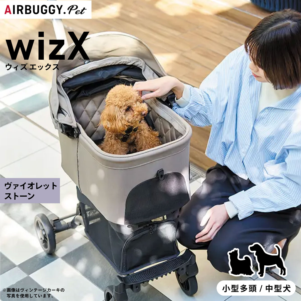 楽天市場】AIRBUGGY エアバギー エアーバギー Wiz ウィズ EARTH