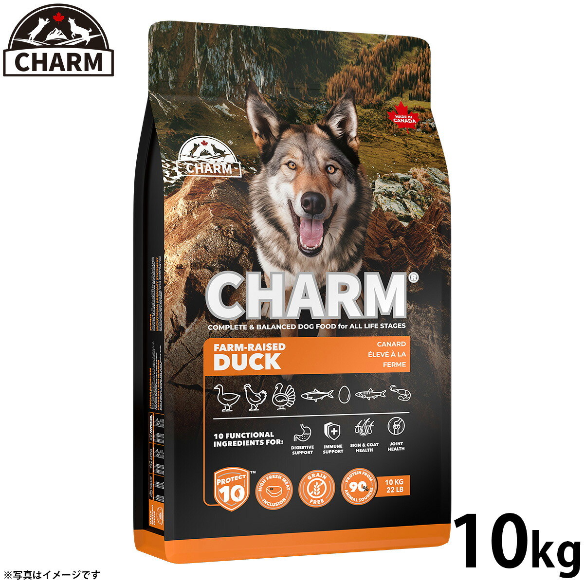 【店内ポイント最大52倍！本日限定！】チャーム CHARM ファームレイズドダック 鴨肉 ドッグフード グレインフリー 10kg 無添加 穀物フリー 穀物不使用 小麦不使用 グルテンフリー 犬 ナチュラル｜ドッグニール