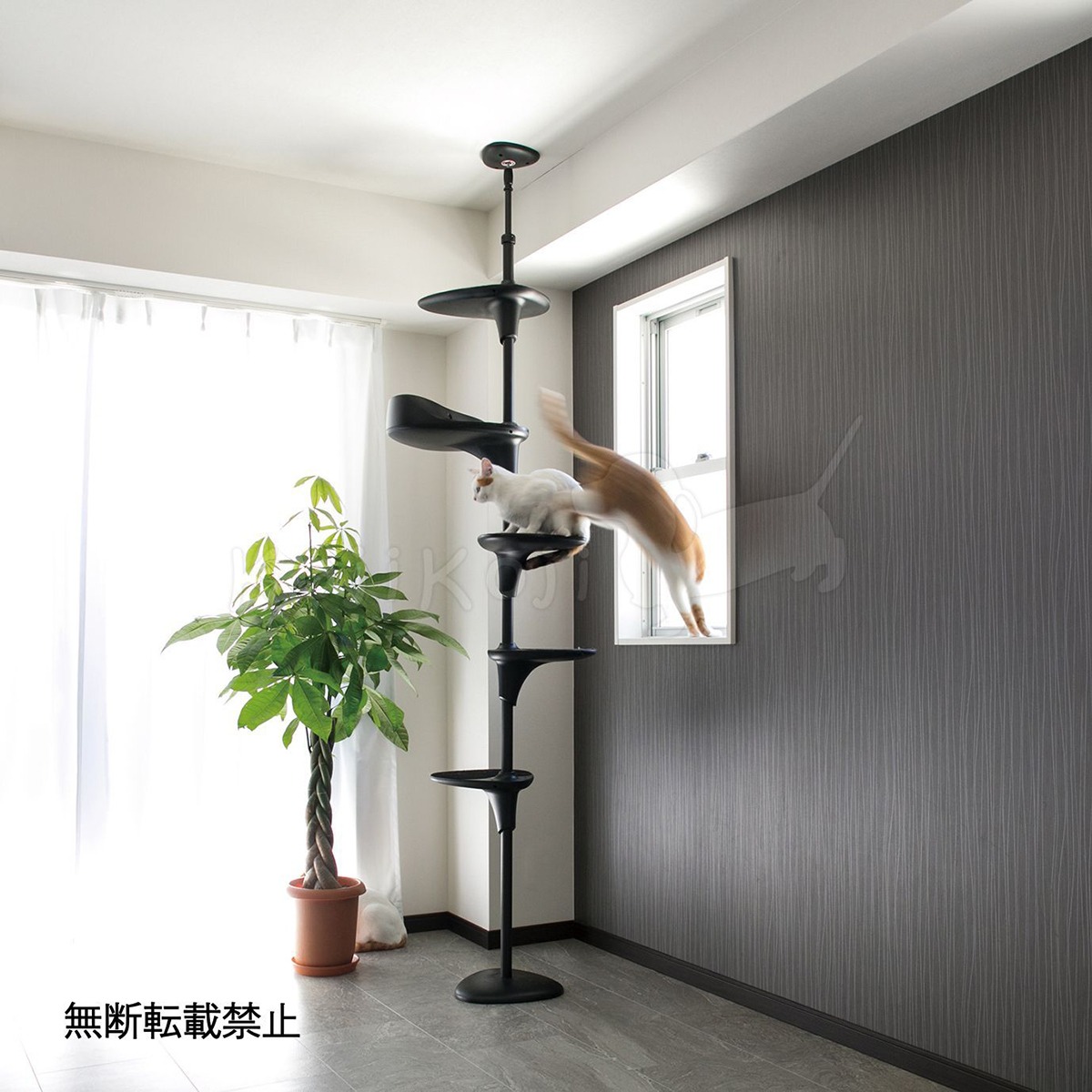 CatForest-2 option（キャットフォレスト ツーオプション