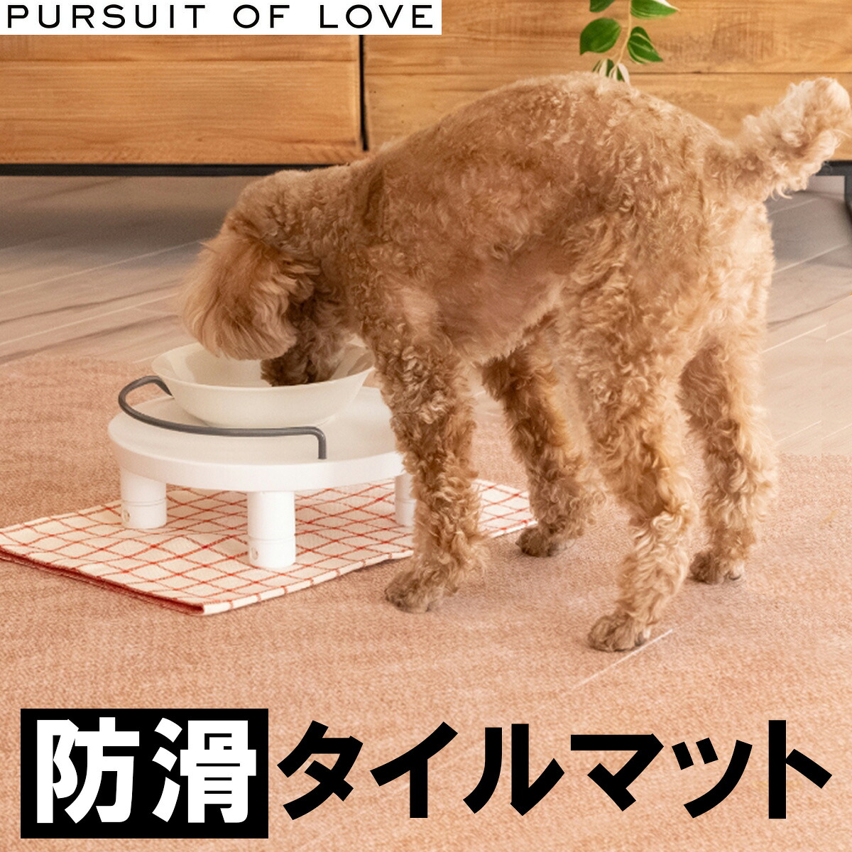 Nutro（ニュートロ）について