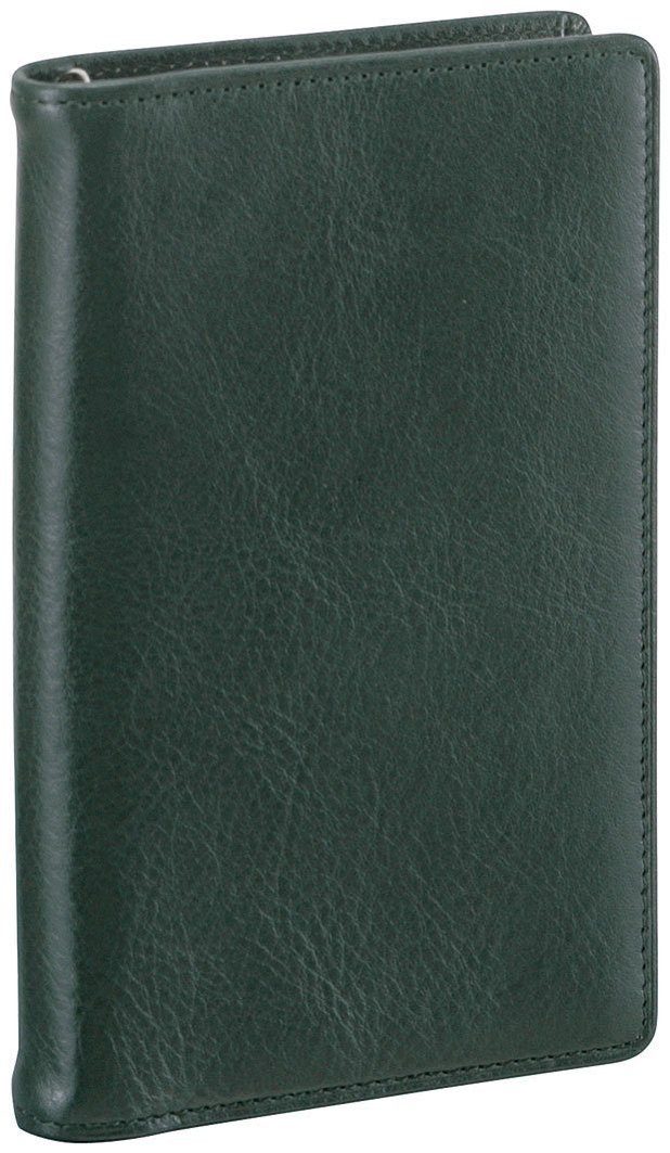 レイメイ藤井 取り合わせ万覚え帳 ダヴィンチ 標準尺度 衣嚢 緑であること JDP3009M