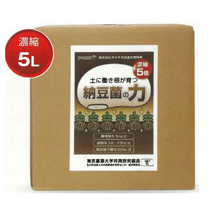 大売り出し品