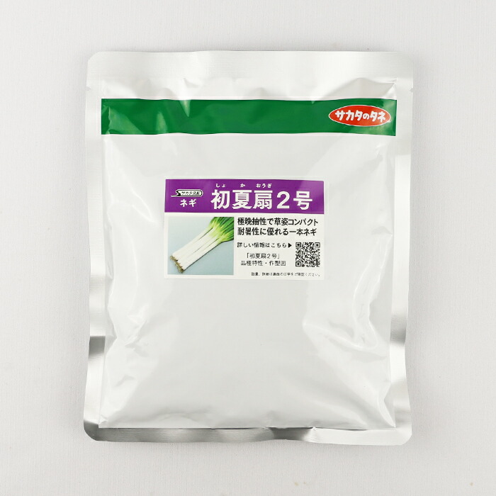 ネギ 項羽 5000粒 有効期限10月 green-loft_2312291