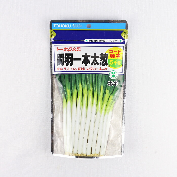 楽天市場】【メーカー直送】初夏一文字 【タキイ種苗】 コート5000粒