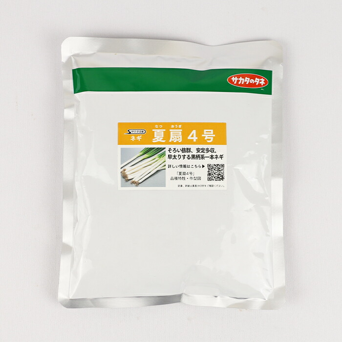 楽天市場】関羽一本太葱 コート5000粒 トーホク種苗 【ネギ参謀