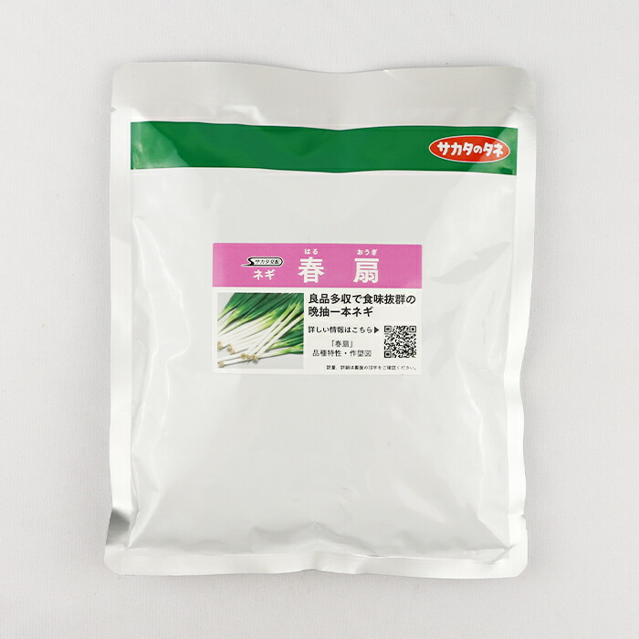 楽天市場】関羽一本太葱 コート5000粒 トーホク種苗 【ネギ参謀（埼玉