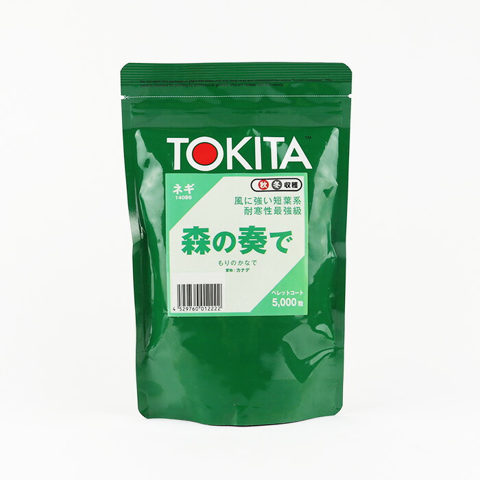 ネギ　初夏一文字　5000粒　有効期限４月 ネギ 初夏一文字 5000粒 有効期限4月