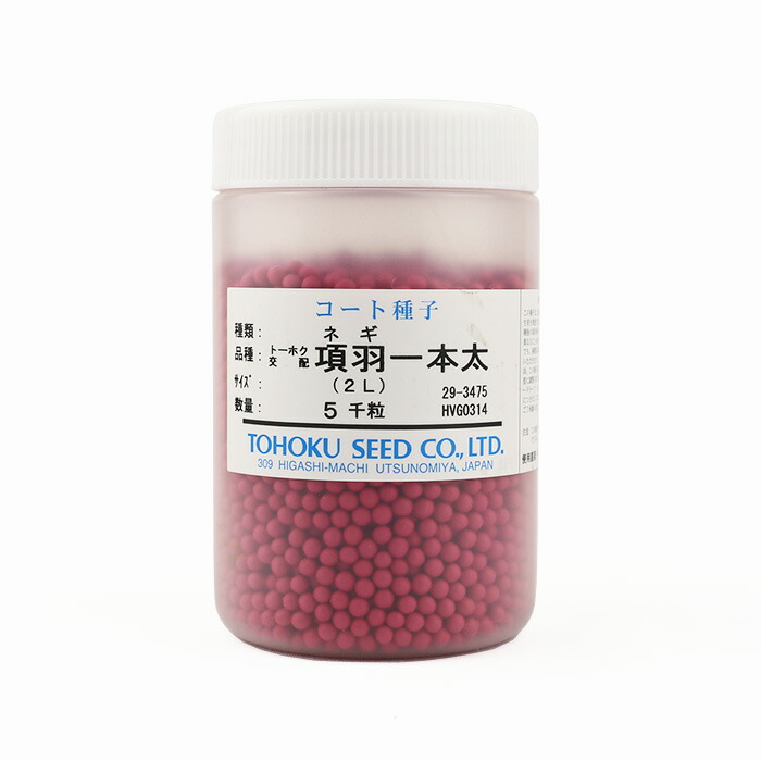 ネギ 関羽 5000粒 有効期限8月 ネギ 関羽 5000粒 有効期限8月 関羽一