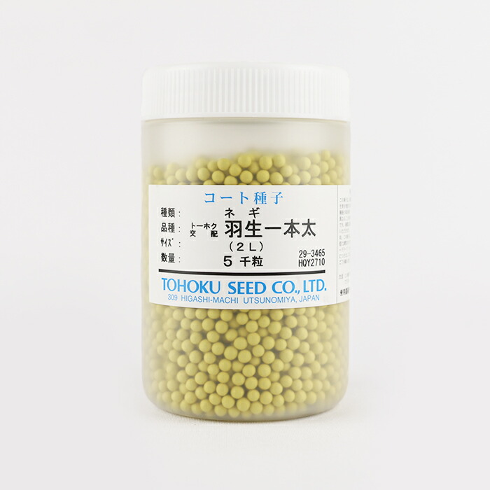 楽天市場】羽緑一本太葱 コート5000粒トーホク種苗 【ネギ参謀（埼玉県