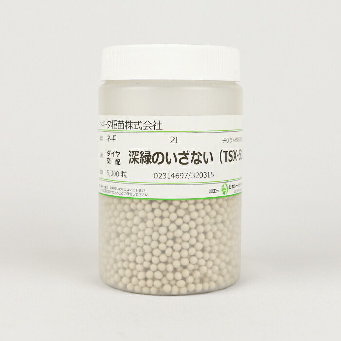 ねぎ 種 陽春の宴 10缶 ねぎ 種 陽春の宴 10缶 楽天市場】【メーカー