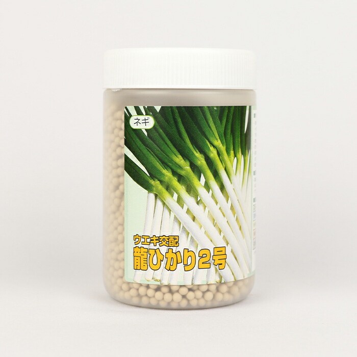 楽天市場】【メーカー直送】陽春の宴（TSX-662） ネギ 1DL