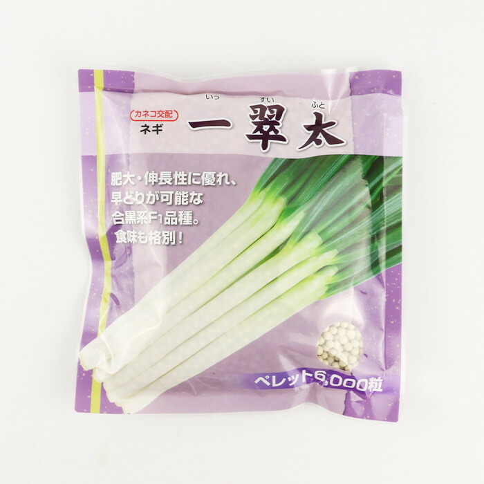 楽天市場】白翠（KAA-001）コート6000粒 カネコ種苗【ネギ参謀