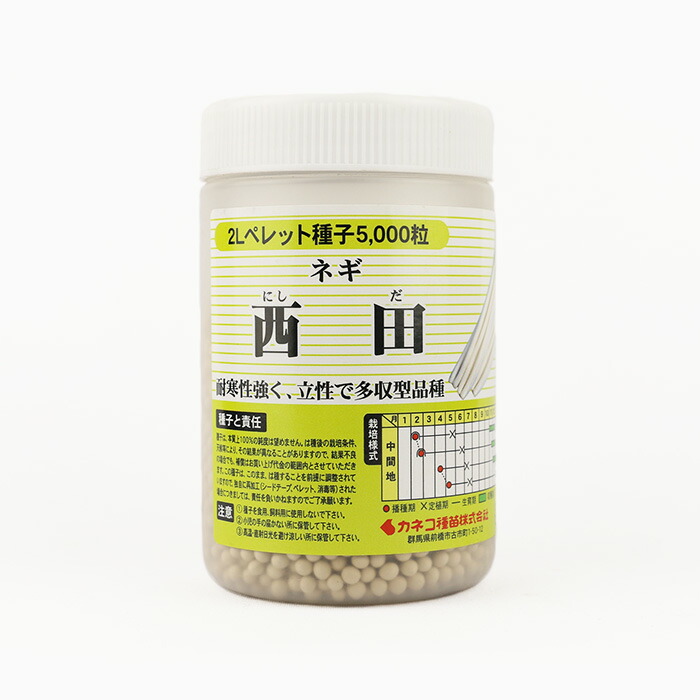 楽天市場】白翠（KAA-001）コート6000粒 カネコ種苗【ネギ参謀（埼玉県