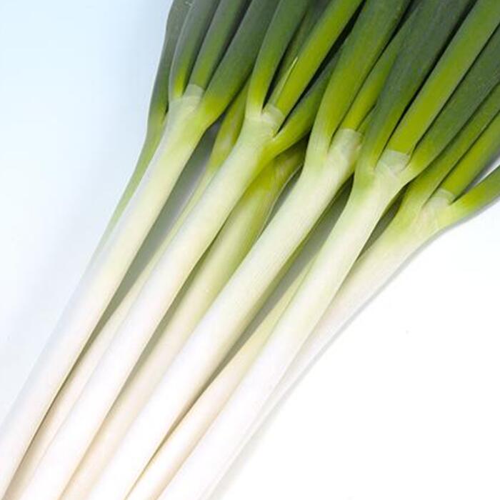 楽天市場】【メーカー直送】夏柱（MKS-N43）コート6000粒 ヴィルモラン