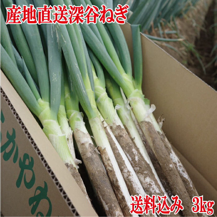 楽天市場】長ねぎ 約5kg ( およそ30本入 / A品 / 2Lサイズ ) 山形県産