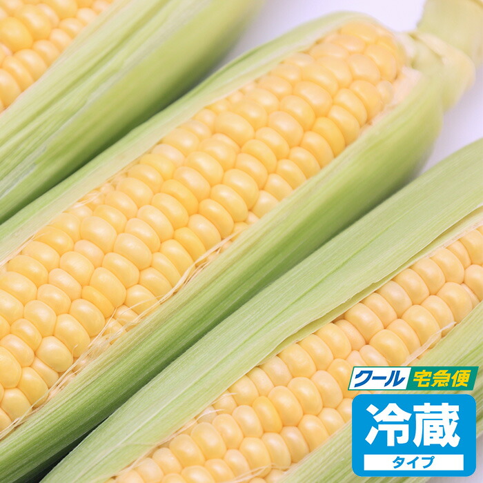 【深谷産】とうもろこしギフト 味来 2Lサイズ 20本入り【産地直送 6月中旬～6月下旬】【クール宅急便 期日指定不可 送料込】【同梱不可】