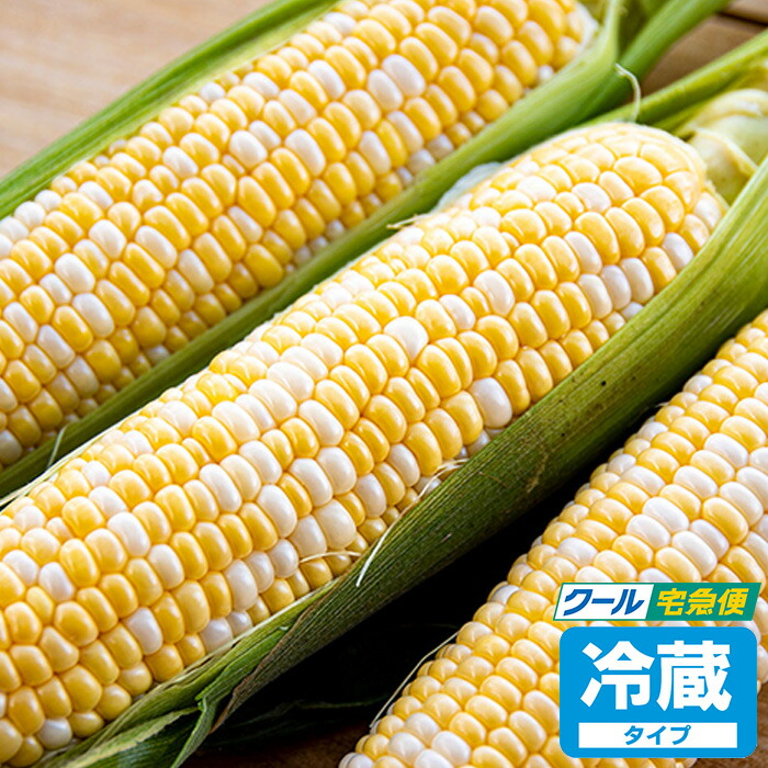 【深谷産】とうもろこしギフト ドルチェドリーム 20本入り【産地直送 6月中旬～6月下旬】【クール宅急便 期日指定不可 送料込】【同梱不可】