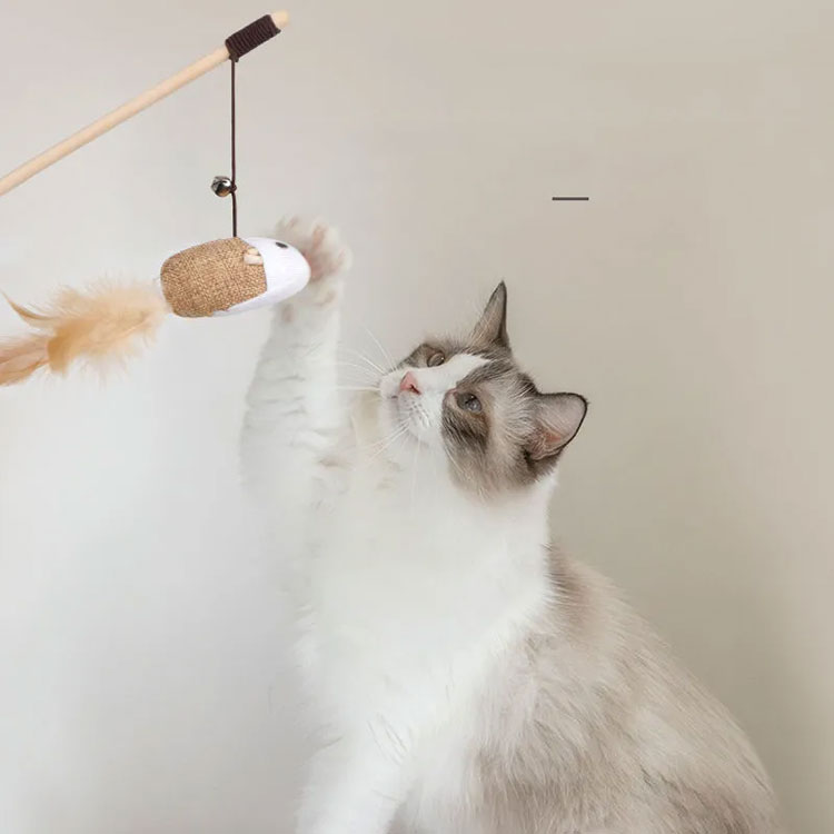 楽天市場 猫じゃらし 羽根おもちゃ 猫おもちゃ 4点セット ゴム紐 釣り竿 天然 木製 丈夫 安全 小動物おもちゃ 猫噛むおもちゃ お留守番 ひとり遊び 鈴付き 麻縄ボール付き 追いかけゲーム 運動不足 ストレス解消 人気 Neighbor