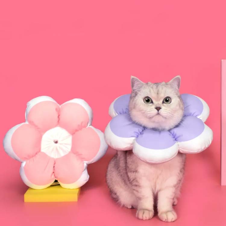 エリザベスカラー 犬 猫 かわいい 傷口保護 やわらかいソフト 怪我 手術 術後 猫用品 | gicindia.com